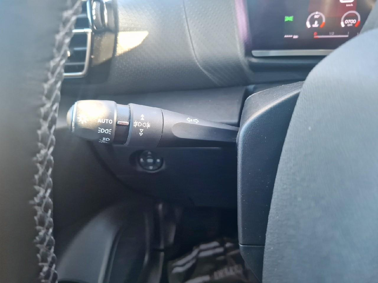 Citroën C4 bluehdi 110ch s&s shine — photo 16