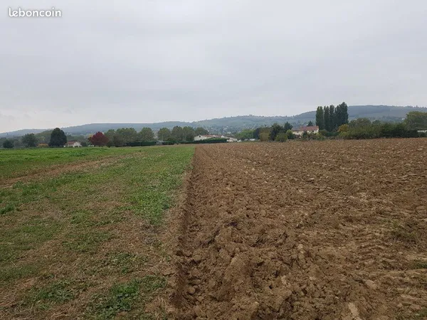 Terrain agricole