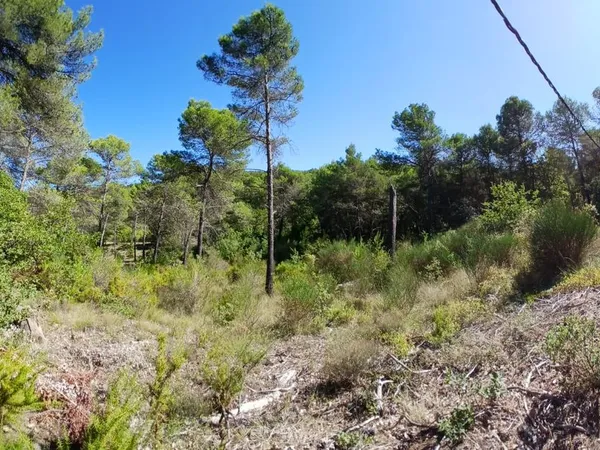 Vente Terrain Constructible 2653m2 - La Roque d'Anthéron
