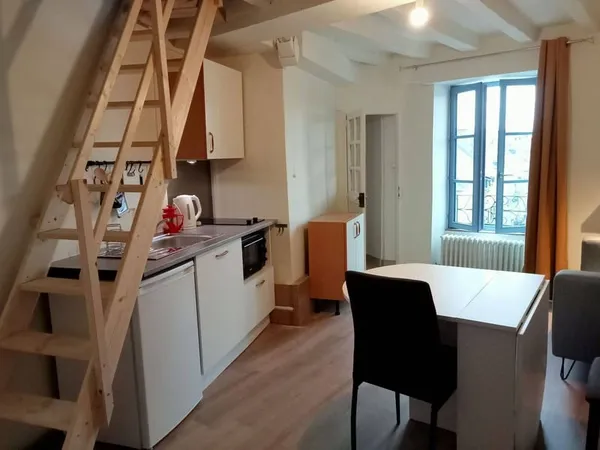 Appartement 1 pièce 20 m²