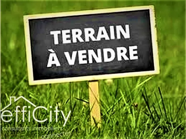 Terrain 2231 m²