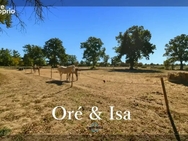 Maison à vendre 5 pièces ORCENAIS (18)