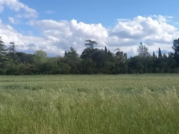 Terrain 494 m²