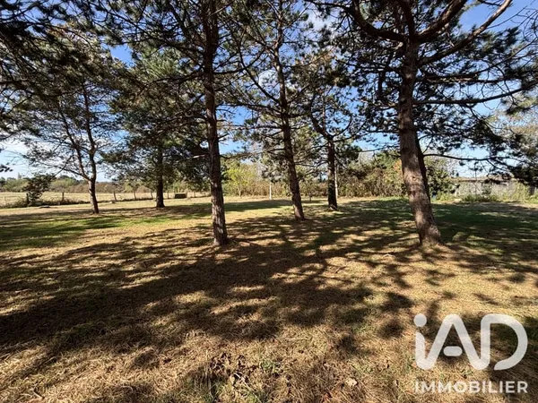 Terrain 1361 m²