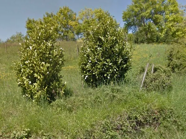 Terrain à bâtir