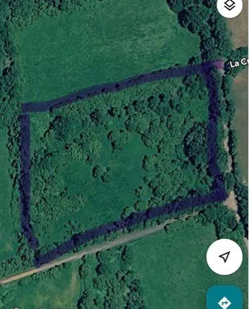 Parcelle bois / clairière