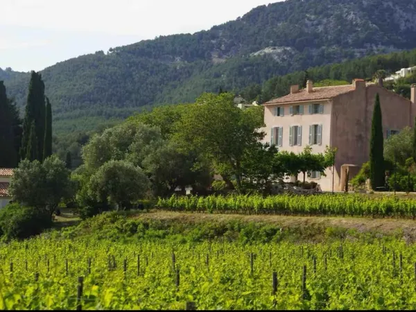 Sanary.Rare Bastide 1830 sur 7h30 de vignobles AOP Bandol