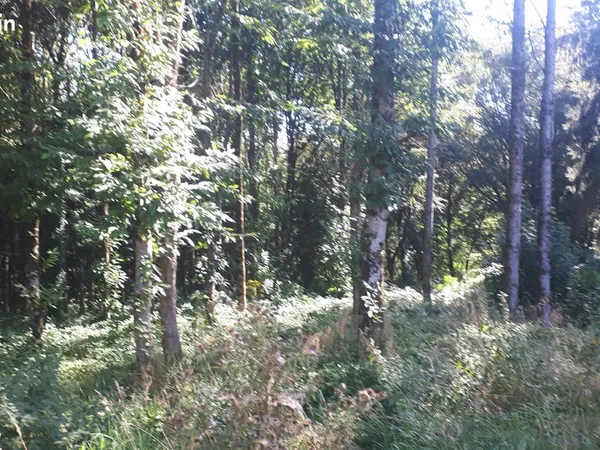 Terrain 35 000m2