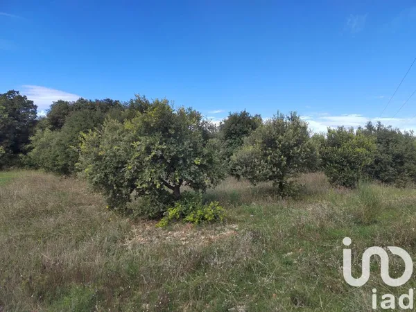 Terrain 4300 m²