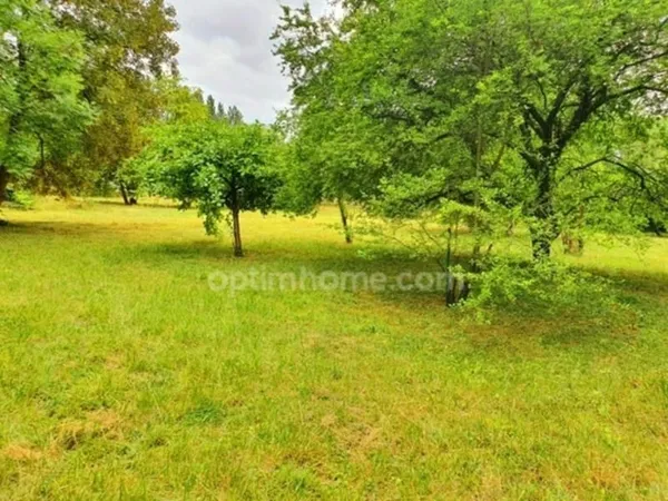 BEAUCHAMP (95) — TERRAIN ARBORÉ AU CALME