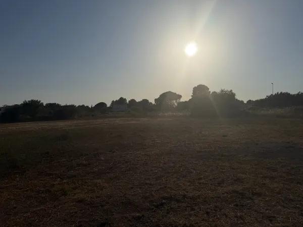 Terrain 223 m²