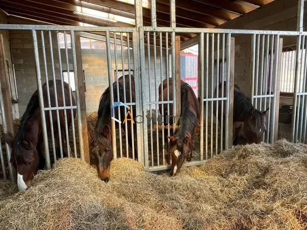 PROPRIETE EQUESTE AVEC 10 HECTARES