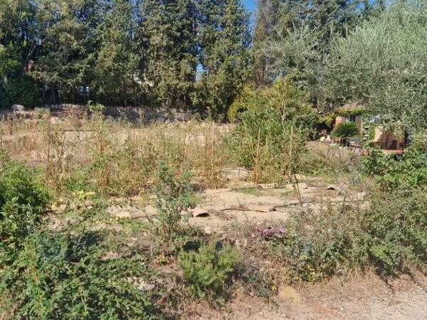 Terrain 1000 m²