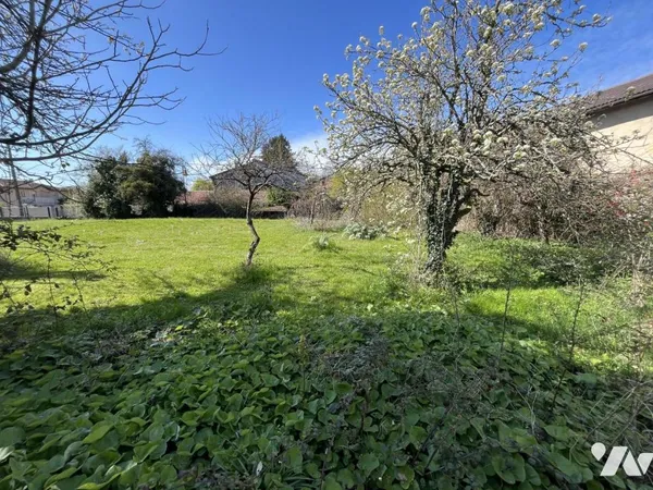 Terrain 813 m²