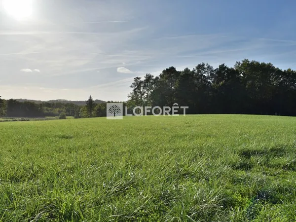 Terrain 14800 m²