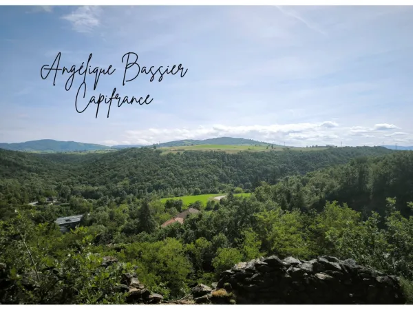 Terrain 1431 m²