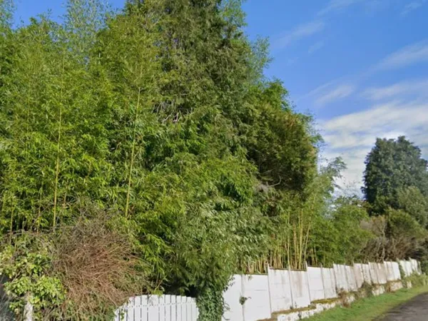 Terrain 7724 m²