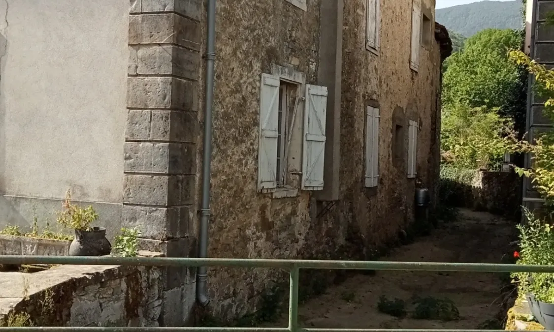 Photo 4