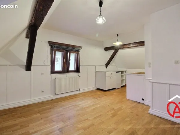 Appartement 1 pièce 20 m²