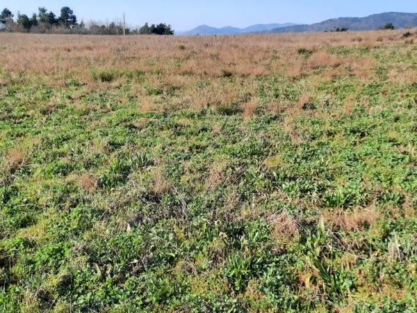 Terrain agricole