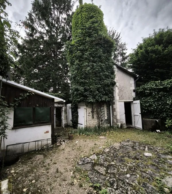 Photo 15