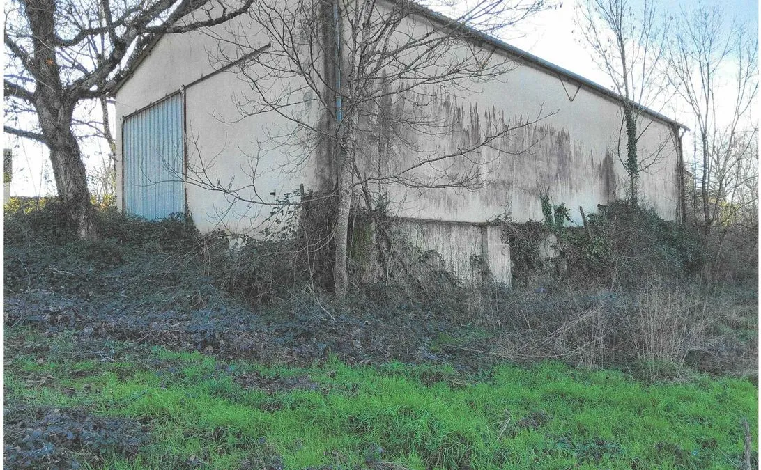 Photo 3