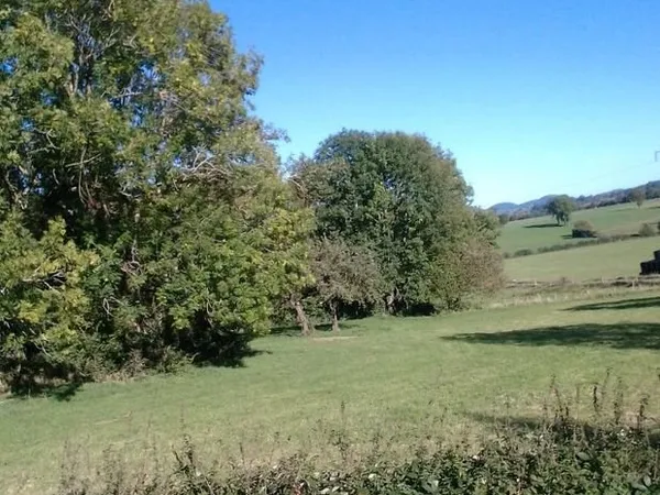 Terrain à bâtir