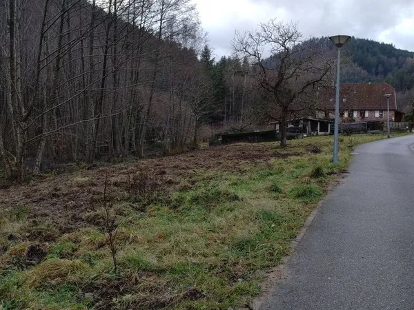 Terrain constructible