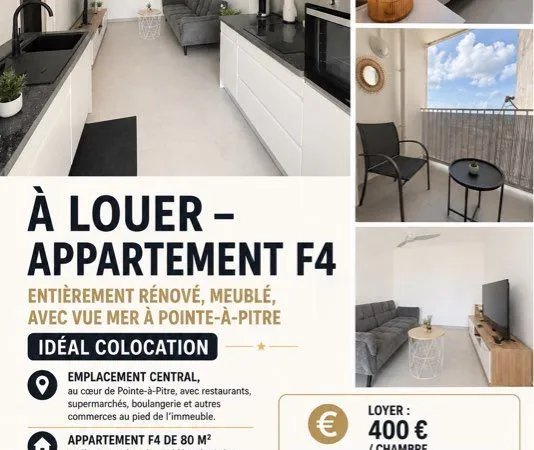 Colocation à pointe à pitre
