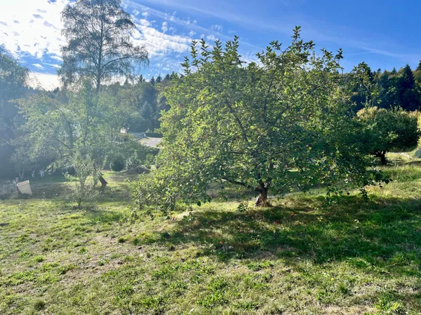 Terrain en individuel 2629 m²