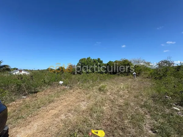 Terrain Anse Bertrand 1000 m2