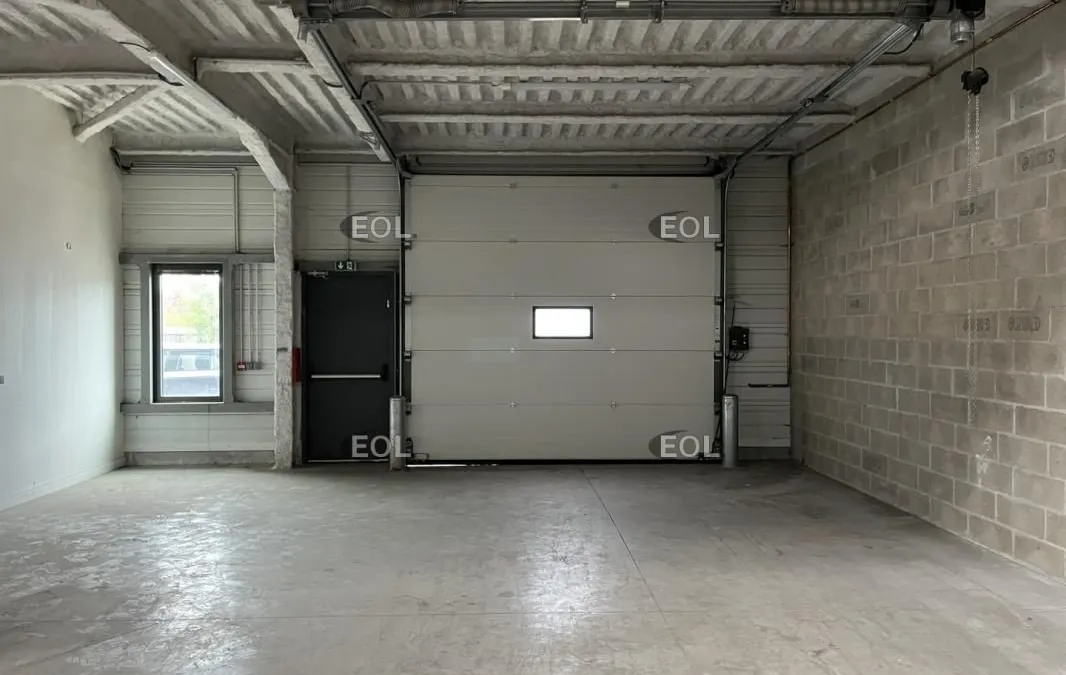 Photo 5