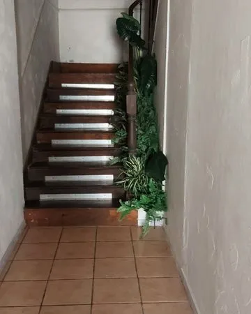 Location appartement t3