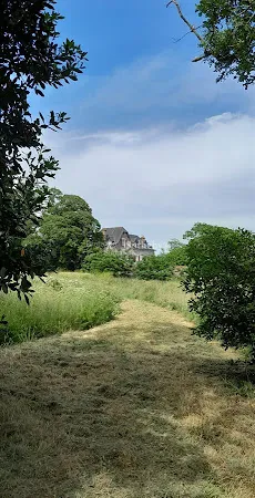 Manoir 9 pièces 266 m²