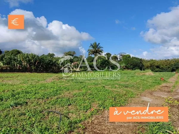 Beau terrain plat - Basse-Pointe