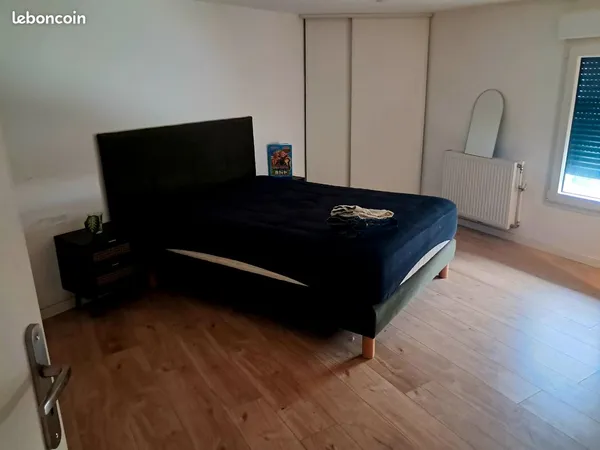 Coloc dans maison avec jardin , quartier tres calme proche tram 17