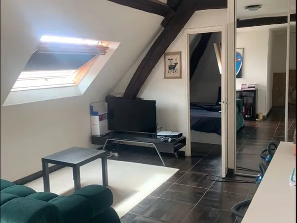 Appartement T2 hypercentre Angers
