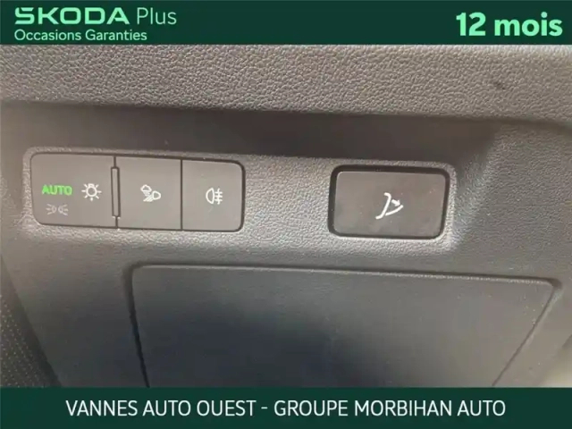 Skoda Enyaq iv 85 — photo 18
