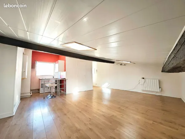 Studio place du palais 21m²