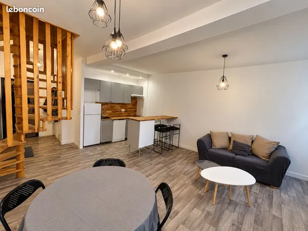 Charmant T2 meublé et rénové - 65 m² - Le Puy-en-Velay