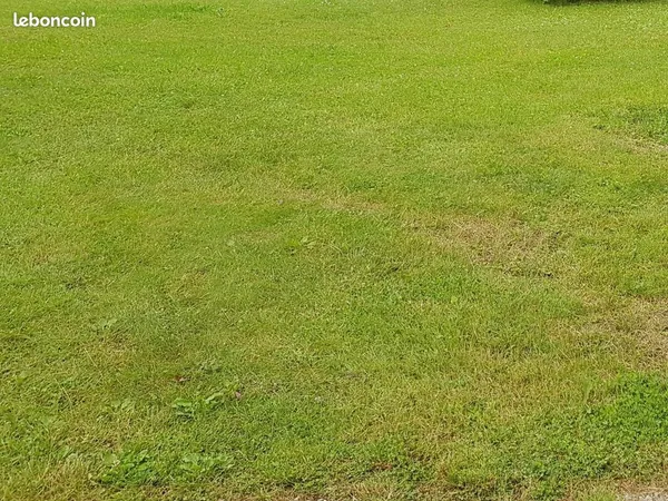 Terrain 378 m² Dontrien