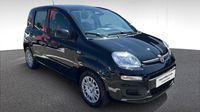 Fiat Panda Classic 1.0 70ch BSG S&S Icône Step 2 — photo 3