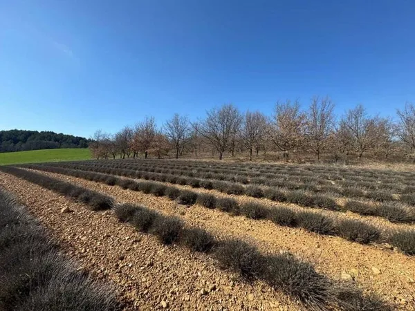 Terrain 662 m²