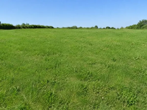 Terrain 1000 m²