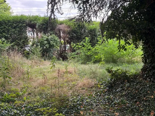 Terrain 297 m²