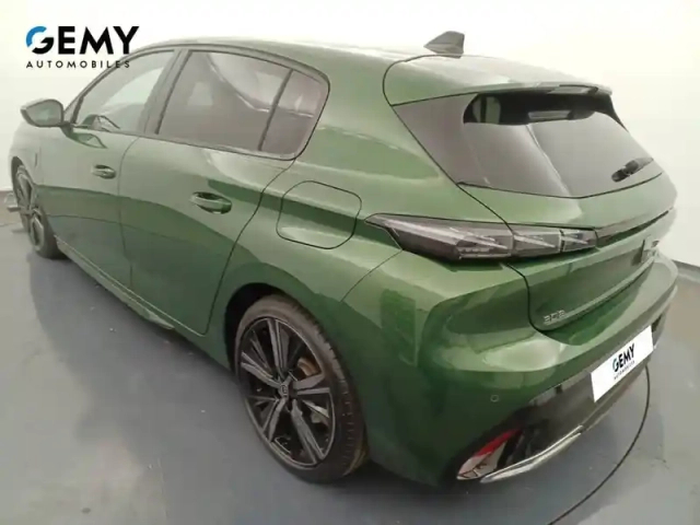 Peugeot 308 phev 225 e-eat8 — photo 18