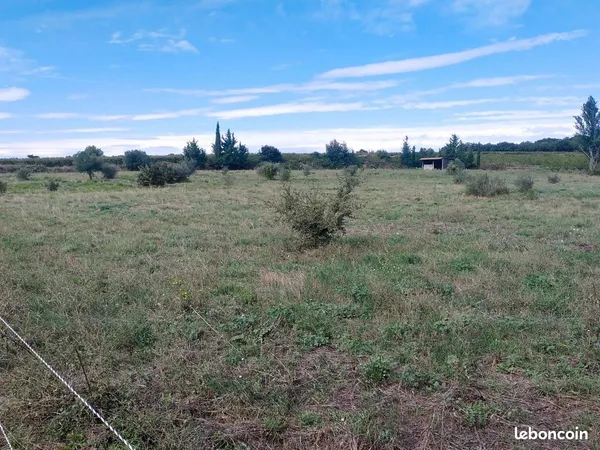 Terrain chevaux