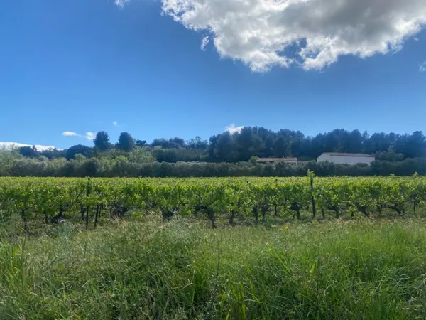 Terrain 410 m²