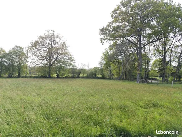 Terrain 1569 m²
