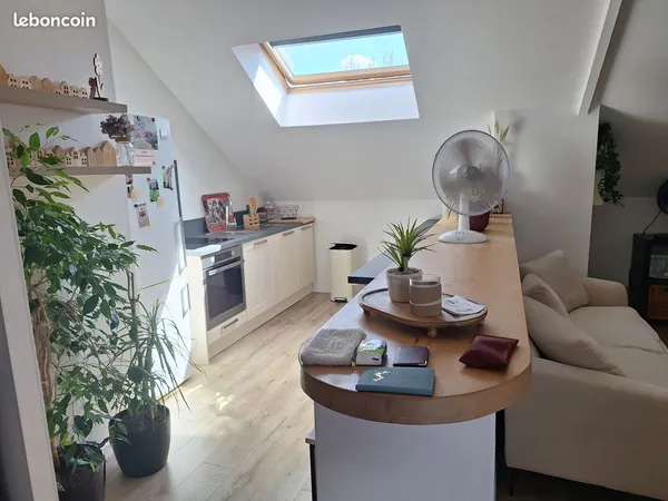LOUE APPARTEMENT LUMINEUX ET CHALEUREUX disponible le 15 octobre 2026